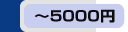 5000~ȉ̏ĩy[W